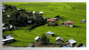 Read more about the article Explore India’s Hidden Gems: ZIRO VALLEY