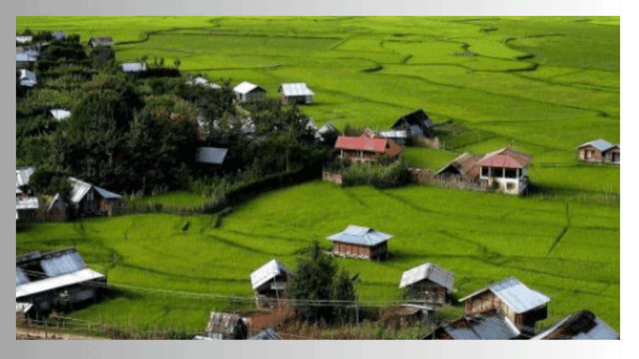 Read more about the article Explore India’s Hidden Gems: ZIRO VALLEY